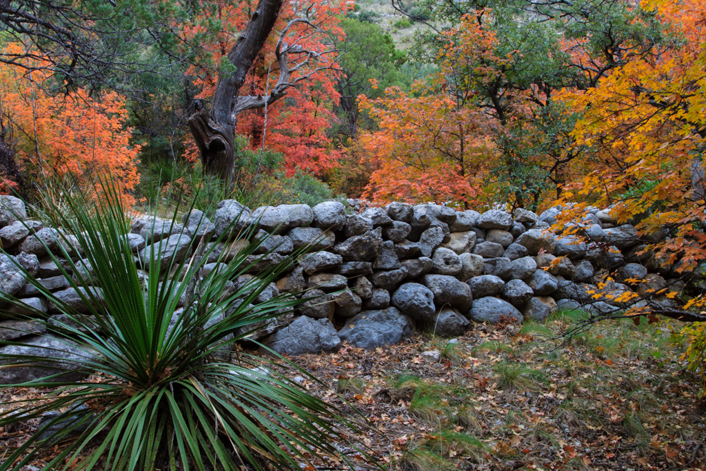 Fall Colors in McKittrick Canyon Big Bend Chat