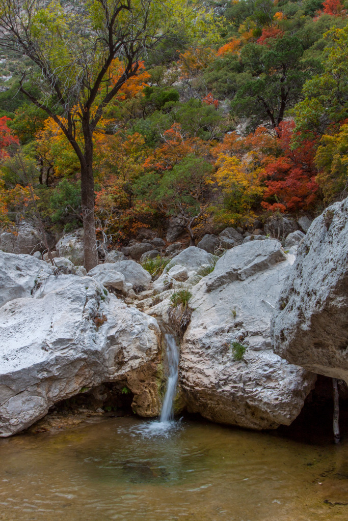 Fall Colors in McKittrick Canyon Big Bend Chat