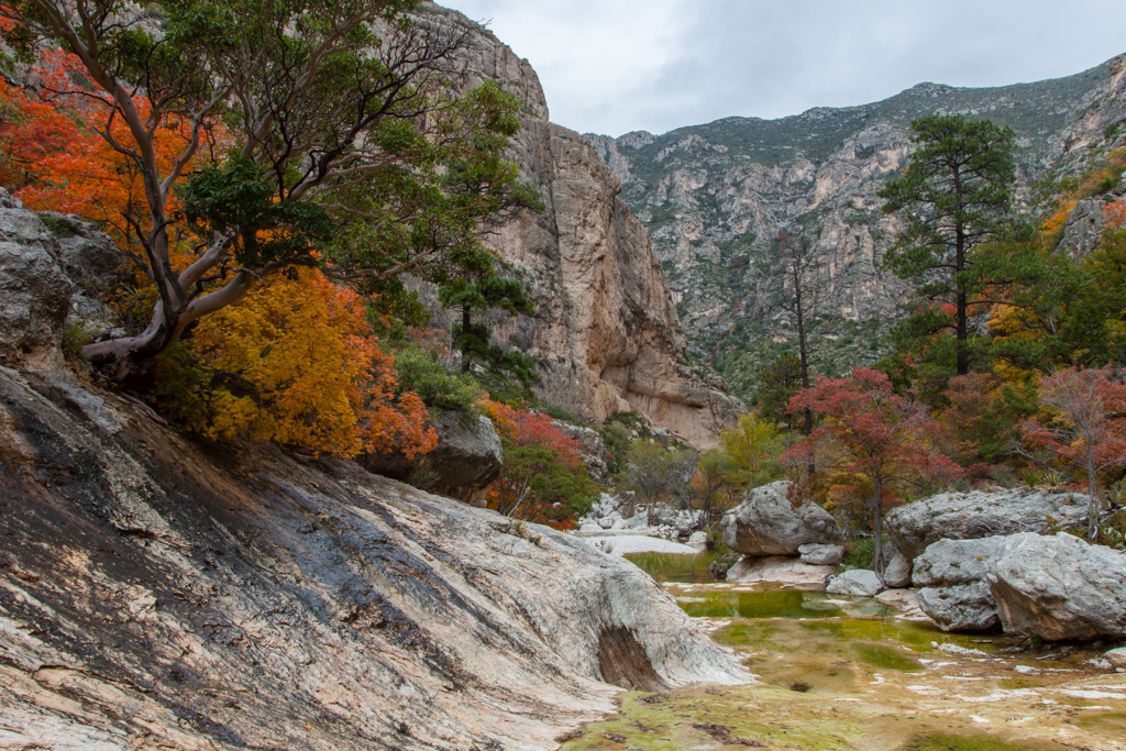 Fall Colors in McKittrick Canyon Big Bend Chat