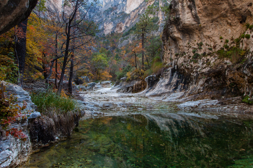 Fall Colors in McKittrick Canyon