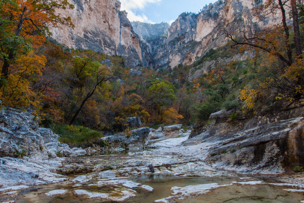 Fall Colors in McKittrick Canyon Big Bend Chat